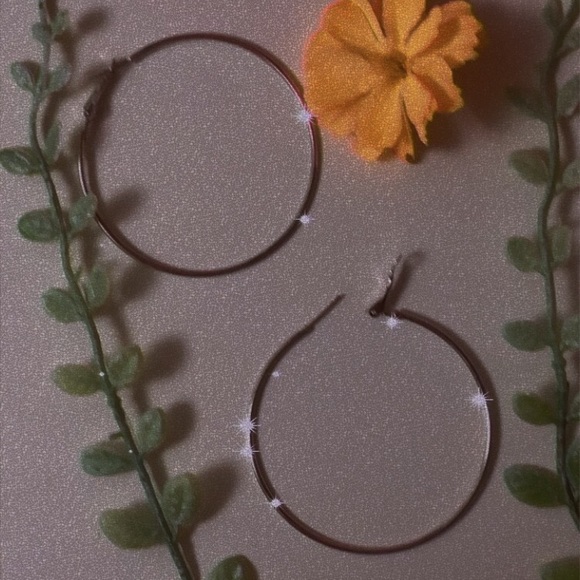 Accessories - Super cute hooped earrings✨